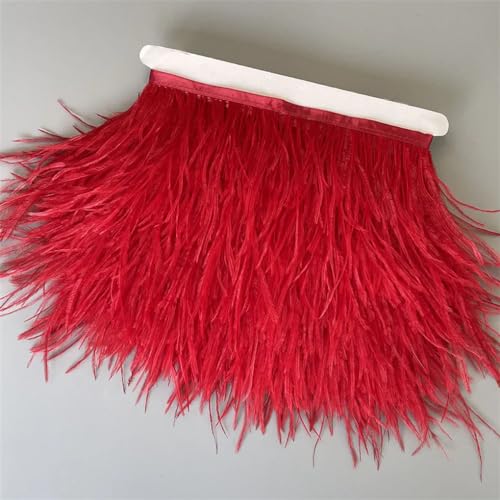 Federborte, 10 m, 13–18 cm, Federband, DIY, Hochzeitskleid, Dekoration, Basteln, Zubehör, Rot, 10 Meter Federborte, 10 m, 13–18 cm, Federband, DIY, Hochzeitskleid, Dekoration, Basteln, Zubehör, Rot, 10 Meter von Generisch
