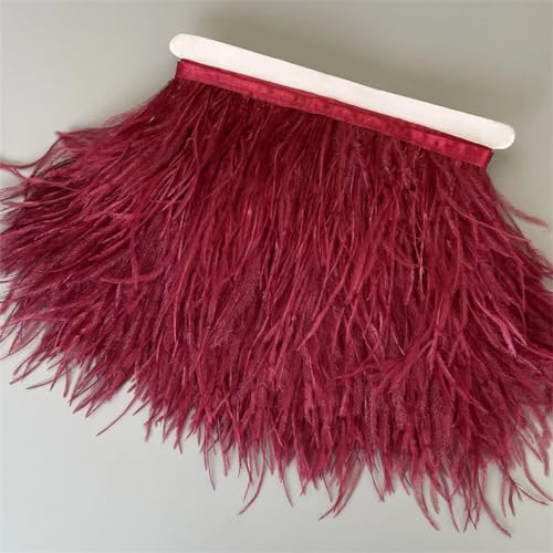 Federborte, 10 m, 13–18 cm, Federband, DIY, Hochzeitskleid, Dekoration, Basteln, Zubehör, Weinrot, 10 Meter Federborte, 10 m, 13–18 cm, Federband, DIY, Hochzeitskleid, Dekoration, Basteln, Zubehör, Weinrot, 10 Meter von Generisch