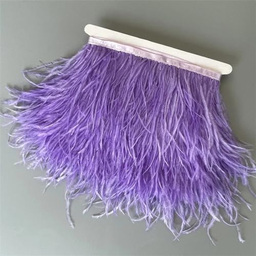 Federborte, 10 m, 13–18 cm, Federband, DIY, Hochzeitskleid, Dekoration, Bastelzubehör, Dunkelflieder, 10 Meter Federborte, 10 m, 13–18 cm, Federband, DIY, Hochzeitskleid, Dekoration, Bastelzubehör, Dunkelflieder, 10 Meter von Generisch