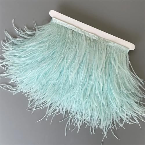 Federborte, 10 m, 13–18 cm, Federband, DIY, Hochzeitskleid, Dekoration, Bastelzubehör, Helltürkis, 10 Meter Federborte, 10 m, 13–18 cm, Federband, DIY, Hochzeitskleid, Dekoration, Bastelzubehör, Helltürkis, 10 Meter von Generisch