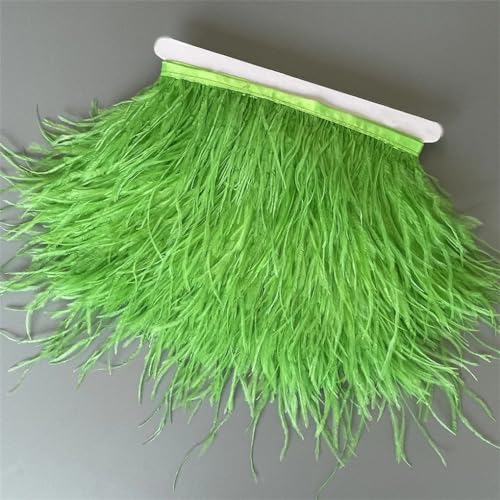 Federborte, 10 m, 13–18 cm, Federband, DIY, Hochzeitskleid, Dekoration, Bastelzubehör, Limette, EN8, 10 Meter Federborte, 10 m, 13–18 cm, Federband, DIY, Hochzeitskleid, Dekoration, Bastelzubehör, Limette, EN8, 10 Meter von Generisch