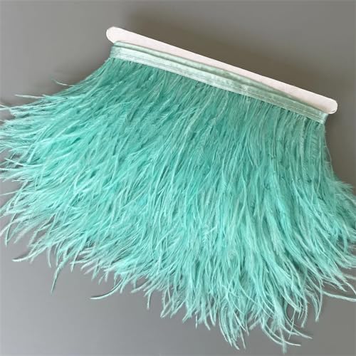 Federborte, 10 m, 13–18 cm, Federband, DIY, Hochzeitskleid, Dekoration, Bastelzubehör, Minze, EN8, 1 10 Meter Federborte, 10 m, 13–18 cm, Federband, DIY, Hochzeitskleid, Dekoration, Bastelzubehör, Minze, EN8, 1 10 Meter von Generisch