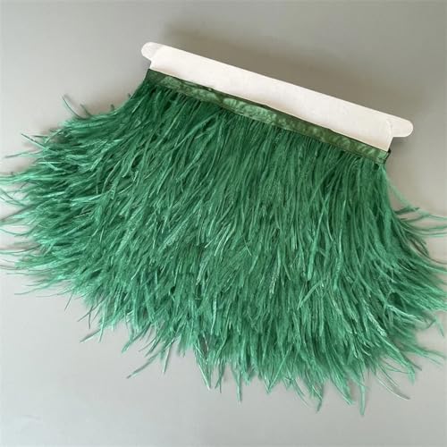 Federborte, 10 m, 13–18 cm, Federband, DIY, Hochzeitskleid, Dekoration, Handwerk, Zubehör, Wald, EN8, 10 Meter Federborte, 10 m, 13–18 cm, Federband, DIY, Hochzeitskleid, Dekoration, Handwerk, Zubehör, Wald, EN8, 10 Meter von Generisch