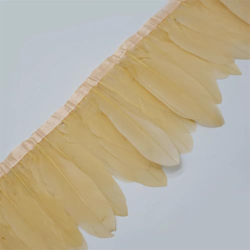 Federborte, gefärbte Federbänder, 13–18 cm, Federfransen für Handwerk, DIY, Nähmaterial, dekorativ, Champange, 2 Meter Federborte, gefärbte Federbänder, 13–18 cm, Federfransen für Handwerk, DIY, Nähmaterial, dekorativ, Champange, 2 Meter von Generisch