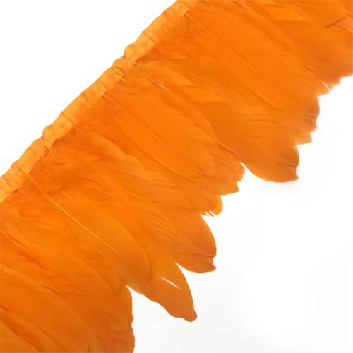 Federborte, gefärbte Federbänder, 13–18 cm, Federfransen für Handwerk, DIY, Nähmaterial, dekorativ, Orange, 2 Meter Federborte, gefärbte Federbänder, 13–18 cm, Federfransen für Handwerk, DIY, Nähmaterial, dekorativ, Orange, 2 Meter von Generisch