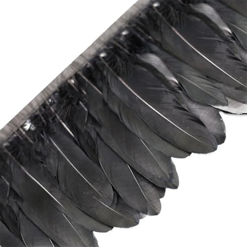 Federborte, gefärbte Federbänder, 13–18 cm, Federfransen für Handwerk, DIY, Nähmaterial, dekorativ, schwarz, 2 Meter Federborte, gefärbte Federbänder, 13–18 cm, Federfransen für Handwerk, DIY, Nähmaterial, dekorativ, schwarz, 2 Meter von Generisch