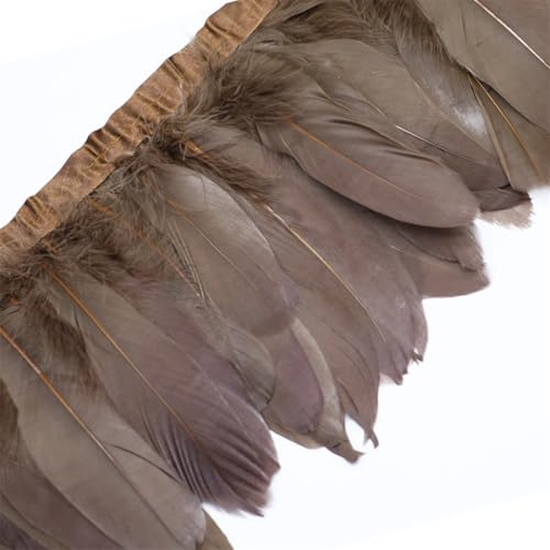 Federborte, gefärbte Federbänder, 13–18 cm, Federfransen zum Basteln, Nähmaterial, dekorativ, Kaffee, 2 Meter Federborte, gefärbte Federbänder, 13–18 cm, Federfransen zum Basteln, Nähmaterial, dekorativ, Kaffee, 2 Meter von Generisch