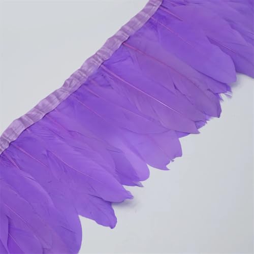 Federborte, gefärbtes Federband, 13–18 cm, Federfransen zum Basteln, Nähmaterial, dekorativ, Hellviolett, 2 m Federborte, gefärbtes Federband, 13–18 cm, Federfransen zum Basteln, Nähmaterial, dekorativ, Hellviolett, 2 m von Generisch