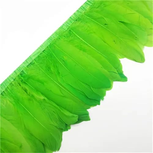 Federborte, gefärbtes Federband, 13–18 cm, Federfransen zum Basteln, Nähmaterial, dekorativ, Limette, EN8, 2 m Federborte, gefärbtes Federband, 13–18 cm, Federfransen zum Basteln, Nähmaterial, dekorativ, Limette, EN8, 2 m von Generisch