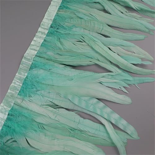 Federborte mit langem Schwanz, 25–30 cm, gefärbtes Band für individuelle Kleider, Röcke und Theater-Kostüm-Dekorationen von Generisch