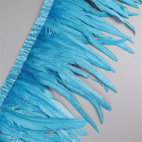 Federborte mit langem Schwanz, 25–30 cm, gefärbtes Band für individuelle Kleider, Röcke und Theater-Kostüm-Dekorationen von Generisch