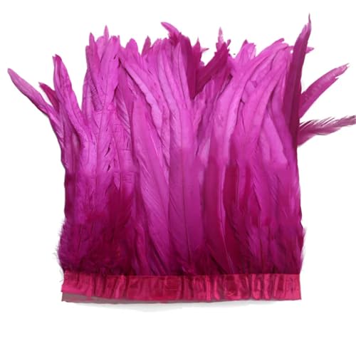 Federborte mit langem Schwanz, 30–35 cm, hochdichtes Federband für professionelles Basteln und Verzierungen, 2 m von Generisch