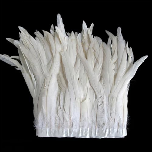 Federborte mit langem Schwanz, 30–35 cm, hochdichtes Federband für professionelles Basteln und Verzierungen, 2 m Federborte mit langem Schwanz, 30–35 cm, hochdichtes Federband für professionelles Basteln und Verzierungen, 2 m von Generisch