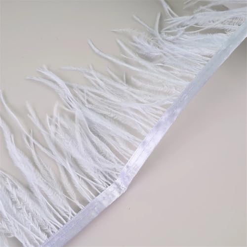 Federfransenborte für Handarbeiten und Handwerk, Federkleid, Zubehör, 10 m, Hellhimmelblau, 10 m Federfransenborte für Handarbeiten und Handwerk, Federkleid, Zubehör, 10 m, Hellhimmelblau, 10 m von Generisch