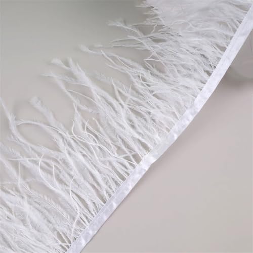 Federfransenborte für Handarbeiten und Handwerk, Federkleid, Zubehör, 10 m, Weiß, 10 m von Generisch