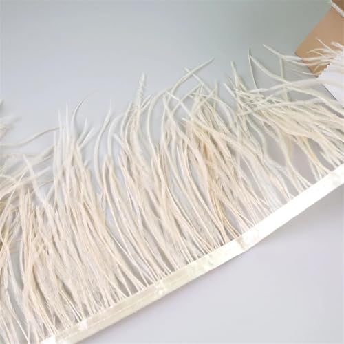Federfransenborte für Handarbeiten und Handwerk, Federkleid, Zubehör, Beige, 10 m, 10 m von Generisch