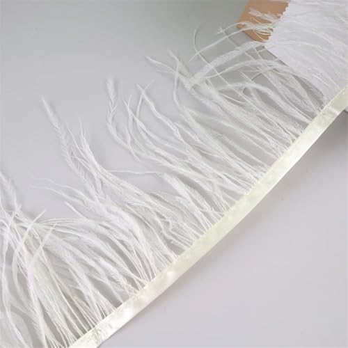 Federfransenborte für Handarbeiten und Handwerk, Federkleid, Zubehör, Elfenbein, 10 m, 10 m von Generisch