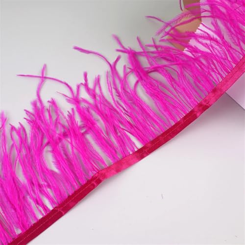 Federfransenborte für Handarbeiten und Handwerk, Federkleid, Zubehör, Fuchsia, 10 m, 10 m von Generisch