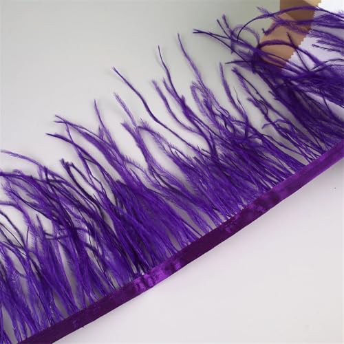 Federfransenborte für Handarbeiten und Handwerk, Federkleid, Zubehör, Lila, 10 m, 10 m von Generisch