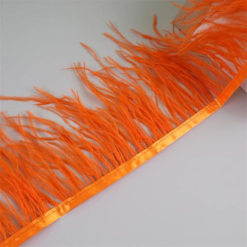 Federfransenborte für Handarbeiten und Handwerk, Federkleid, Zubehör, Orange, 10 m, 10 m Federfransenborte für Handarbeiten und Handwerk, Federkleid, Zubehör, Orange, 10 m, 10 m von Generisch
