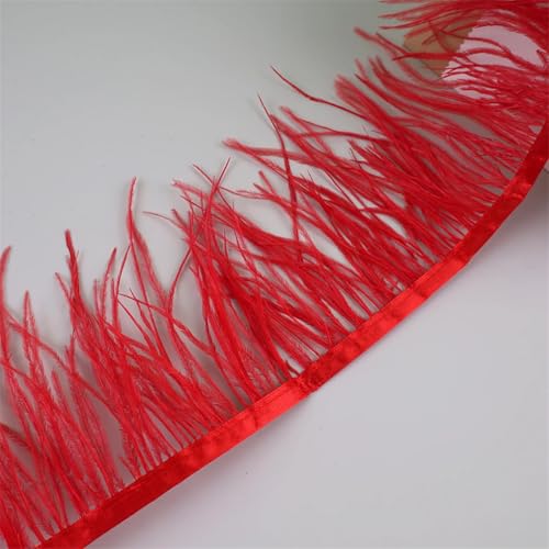 Federfransenborte für Handarbeiten und Handwerk, Federkleid, Zubehör, Rot, 10 m, 10 m Federfransenborte für Handarbeiten und Handwerk, Federkleid, Zubehör, Rot, 10 m, 10 m von Generisch