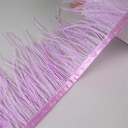 Federfransenborte für Handarbeiten und Handwerk, Federkleid, Zubehör, Violett, 10 m, 10 m Federfransenborte für Handarbeiten und Handwerk, Federkleid, Zubehör, Violett, 10 m, 10 m von Generisch