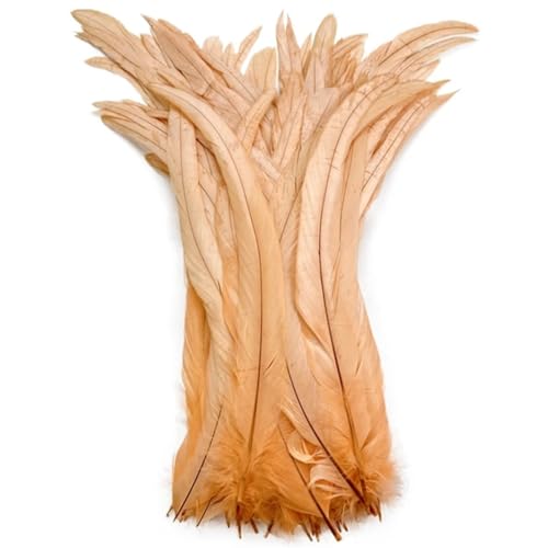 Federn für Bastelarbeiten, Kleidung, Hochzeit, Zuhause, Party, 35–40 cm, gefärbte Hahnfedern, Dekoration, Kleidung, Zubehör, Champagner, 50 Stück Federn für Bastelarbeiten, Kleidung, Hochzeit, Zuhause, Party, 35–40 cm, gefärbte Hahnfedern, Dekoration, Kleidung, Zubehör, Champagner, 50 Stück von Generisch
