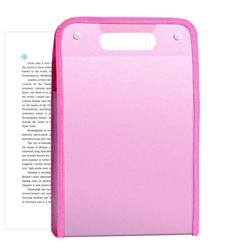 File Organizer Folders, Accordion Organizer, 14.17x9.45 Inches, 13 Pockets Document Holder, Portable Paper Storage Case, Expandable Filing System for Office School Studio Business Travel von Generisch