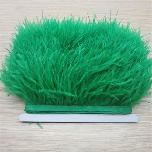 Flauschiger Straußenfeder-Besatz, 10 m, Seitenband, 8–11 cm breit, geeignet für Röcke, Kleider, Kleidung, Party, DIY, Gras, EN8 von Generisch