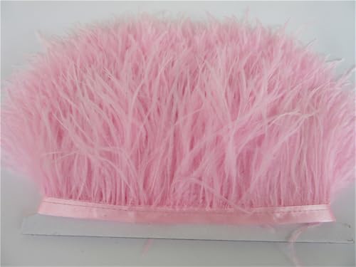 Flauschiger Straußenfeder-Besatz, 10 m, Seitenband, 8–11 cm breit, geeignet für Röcke/Kleider, Party, DIY, Handwerk, leichtes Pnnrk Flauschiger Straußenfeder-Besatz, 10 m, Seitenband, 8–11 cm breit, geeignet für Röcke/Kleider, Party, DIY, Handwerk, leichtes Pnnrk von Generisch