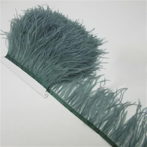 Flauschiger Straußenhaar-Besatz, 10–15 cm, Seitenband, DIY, Urlaub, Party, Kostüm, Schmuck, Zubehör, Licht, EN8, 9,1 m von Generisch