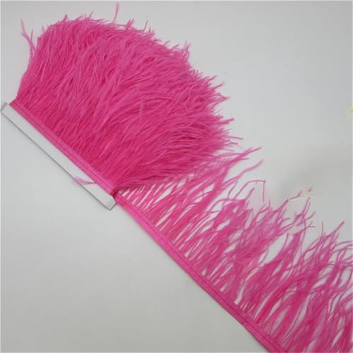 Flauschiger Straußenhaar-Besatz für Kleidung, Seitenband, 5 / 10 m lang, DIY, Urlaub, Party, Schmuck, Zubehör, 10–15 cm, Rosenrot, 9,1 m Flauschiger Straußenhaar-Besatz für Kleidung, Seitenband, 5 / 10 m lang, DIY, Urlaub, Party, Schmuck, Zubehör, 10–15 cm, Rosenrot, 9,1 m von Generisch