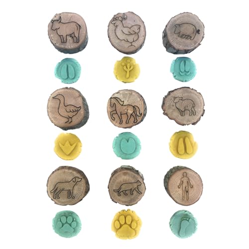 Generisch Animal Foot Print Stempel | Kleine dekorative Stempel | Tierstempel für Handwerk, Holzpfotenstempel, Kunstmarken, kreativer Fußabdruckstempel von Generisch