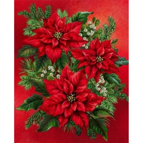 Generisch Blumen Kreuzstich Set Erwachsene Stickvorlagen Stickbilder Vorgedruckt Kreuzstich Stickpackung Sticken Stickbild Set für Erwachsene Anfänger-Weihnachtsstern 40x50cm Generisch Blumen Kreuzstich Set Erwachsene Stickvorlagen Stickbilder Vorgedruckt Kreuzstich Stickpackung Sticken Stickbild Set für Erwachsene Anfänger-Weihnachtsstern 40x50cm von Generisch