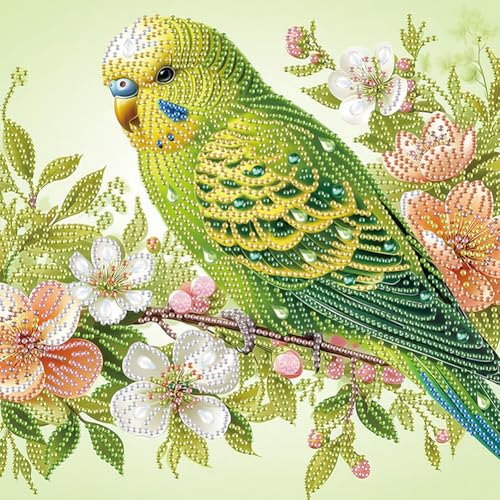 Generisch DIY Diamond Painting Vogel Diamant Painting Bilder Erwachsene Diamant Malerei Set für Anfänger Zuhause Deko Wanddekoration 30x30cm-#8 Generisch DIY Diamond Painting Vogel Diamant Painting Bilder Erwachsene Diamant Malerei Set für Anfänger Zuhause Deko Wanddekoration 30x30cm-#8 von Generisch