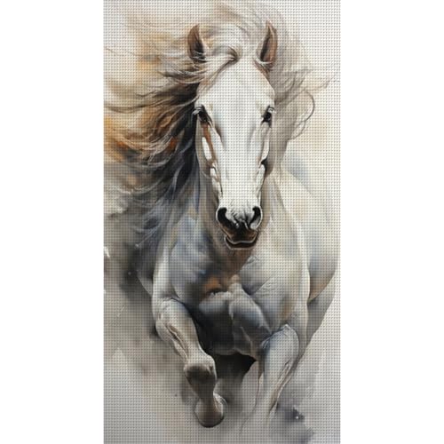 Generisch DIY Vorgedruckt Stickbilder Stickset 11CT,Pferd Kreuzstich Stickpackung Handwerk Home Decor Starter-Set für Wandkunst-#9 40x70cm Generisch DIY Vorgedruckt Stickbilder Stickset 11CT,Pferd Kreuzstich Stickpackung Handwerk Home Decor Starter-Set für Wandkunst-#9 40x70cm von Generisch