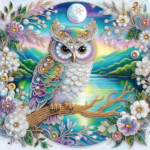 Generisch Eule Diamond Painting Tiere 5D Diamant Malerei für Erwachsene Kristall Strass Handwerk Stickerei Malen nach Zahlen für DIY Wanddekoration 40 x 40 cm Generisch Eule Diamond Painting Tiere 5D Diamant Malerei für Erwachsene Kristall Strass Handwerk Stickerei Malen nach Zahlen für DIY Wanddekoration 40 x 40 cm von Generisch