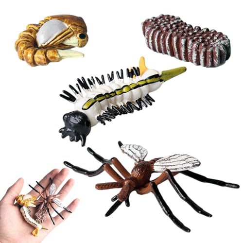 Generisch Life Cycle Kit - Spielzeug Klare Lebenszyklusfiguren Für Kinder | Motte, Schmetterlings, Schildkröte, Arbeiterameises, Frosch Pp Insektenfiguren Spielzeugset Zur Verbesserung Der Kognitiven von Generisch