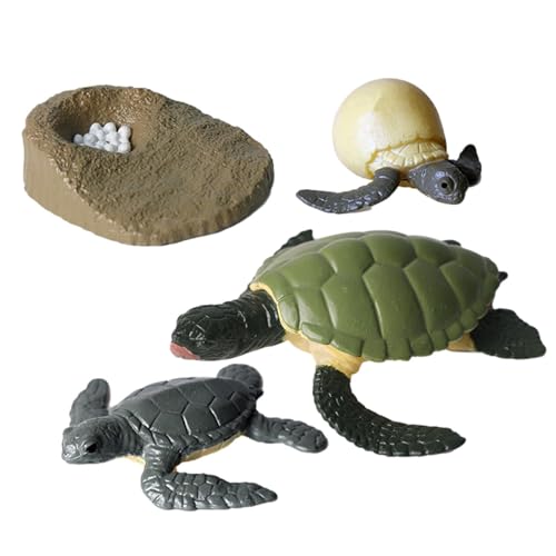 Generisch Life Cycle Kit - Spielzeug Klare Lebenszyklusfiguren Für Kinder | Motte, Schmetterlings, Schildkröte, Arbeiterameises, Frosch Pp Insektenfiguren Spielzeugset Zur Verbesserung Der Kognitiven Generisch Life Cycle Kit - Spielzeug Klare Lebenszyklusfiguren Für Kinder | Motte, Schmetterlings, Schildkröte, Arbeiterameises, Frosch Pp Insektenfiguren Spielzeugset Zur Verbesserung Der Kognitiven von Generisch