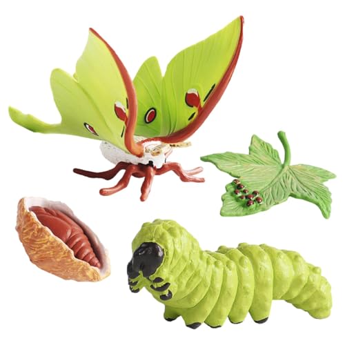 Generisch Life Cycle Kit - Spielzeug Klare Lebenszyklusfiguren Für Kinder | Motte, Schmetterlings, Schildkröte, Arbeiterameises, Frosch Pp Insektenfiguren Spielzeugset Zur Verbesserung Der Kognitiven von Generisch