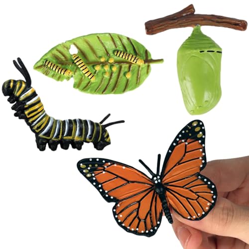 Generisch Life Cycle Kit - Spielzeug Klare Lebenszyklusfiguren Für Kinder | Motte, Schmetterlings, Schildkröte, Arbeiterameises, Frosch Pp Insektenfiguren Spielzeugset Zur Verbesserung Der Kognitiven von Generisch
