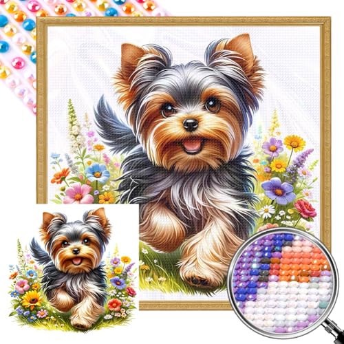 Generisch Tier Diamond Painting Bilder Quadratische Steine 45x45cm Groß 5D Diamant Painting Full Square Drill Cross Stitch Embroidery Kit Basteln Erwachsene Mosaik Geschenk-Yorkshire Terrier Generisch Tier Diamond Painting Bilder Quadratische Steine 45x45cm Groß 5D Diamant Painting Full Square Drill Cross Stitch Embroidery Kit Basteln Erwachsene Mosaik Geschenk-Yorkshire Terrier von Generisch