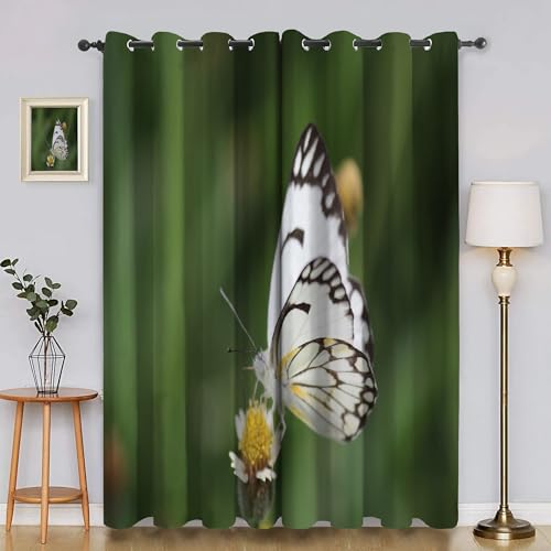 Generisch Verdunklungsvorhänge Blumen, Vorhang Blickdicht Schmetterlinge Vorhänge mit öSen 2er Set für Schlafzimmer Kinderzimmer, Deko Gardinen Wohnzimmer - B140 x H220 cm aA2598 Generisch Verdunklungsvorhänge Blumen, Vorhang Blickdicht Schmetterlinge Vorhänge mit öSen 2er Set für Schlafzimmer Kinderzimmer, Deko Gardinen Wohnzimmer - B140 x H220 cm aA2598 von Generisch