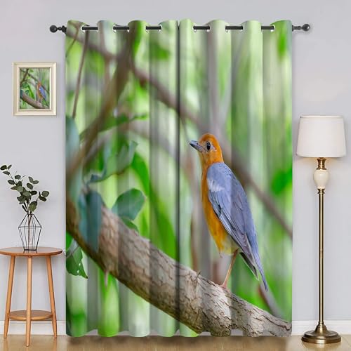 Generisch Verdunklungsvorhänge Orangekopf-Drossel, Vorhang Blickdicht VöGel Vorhänge mit öSen 2er Set für Schlafzimmer Kinderzimmer, Deko Gardinen Wohnzimmer - B140 x H260 cm aA2568 Generisch Verdunklungsvorhänge Orangekopf-Drossel, Vorhang Blickdicht VöGel Vorhänge mit öSen 2er Set für Schlafzimmer Kinderzimmer, Deko Gardinen Wohnzimmer - B140 x H260 cm aA2568 von Generisch