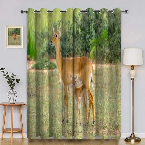 Generisch Verdunklungsvorhänge Tiere, Vorhang Blickdicht WeißSchwanzhirsch Vorhänge mit öSen 2er Set für Schlafzimmer Kinderzimmer, Deko Gardinen Wohnzimmer - B140 x H260 cm aA2552 Generisch Verdunklungsvorhänge Tiere, Vorhang Blickdicht WeißSchwanzhirsch Vorhänge mit öSen 2er Set für Schlafzimmer Kinderzimmer, Deko Gardinen Wohnzimmer - B140 x H260 cm aA2552 von Generisch