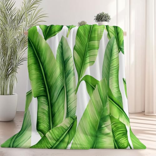 Generisch Weiche Kuscheldecke 100 x 130 cm fürs Kinderbett, Einfach Aquarell Bananenblätter Thema Kuscheldecke Leichter Plüschstoff für Sofa Couch Schlafzimmer Wohnzi - Grün Generisch Weiche Kuscheldecke 100 x 130 cm fürs Kinderbett, Einfach Aquarell Bananenblätter Thema Kuscheldecke Leichter Plüschstoff für Sofa Couch Schlafzimmer Wohnzi - Grün von Generisch