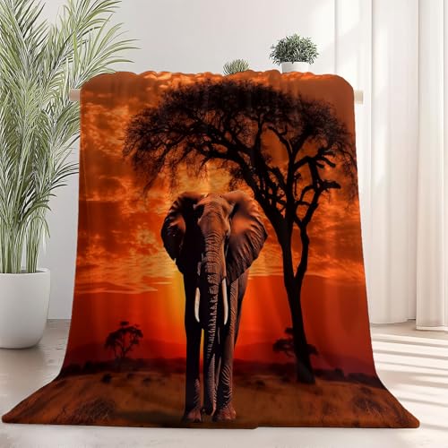 Generisch Weiche Kuscheldecke 150 x 200 cm fürs Kinderbett, Tier Elefant Wiese Thema Kuscheldecke Leichter Plüschstoff für Sofa Couch Schlafzimmer Wohnzi - Orange Farbe Generisch Weiche Kuscheldecke 150 x 200 cm fürs Kinderbett, Tier Elefant Wiese Thema Kuscheldecke Leichter Plüschstoff für Sofa Couch Schlafzimmer Wohnzi - Orange Farbe von Generisch