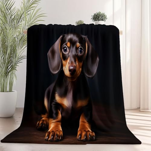 Generisch Weiche Kuscheldecke 150 x 200 cm fürs Kinderbett, Tier Fotografie Dackel Thema Kuscheldecke Leichter Plüschstoff für Sofa Couch Schlafzimmer Wohnzi - Schwarz Generisch Weiche Kuscheldecke 150 x 200 cm fürs Kinderbett, Tier Fotografie Dackel Thema Kuscheldecke Leichter Plüschstoff für Sofa Couch Schlafzimmer Wohnzi - Schwarz von Generisch