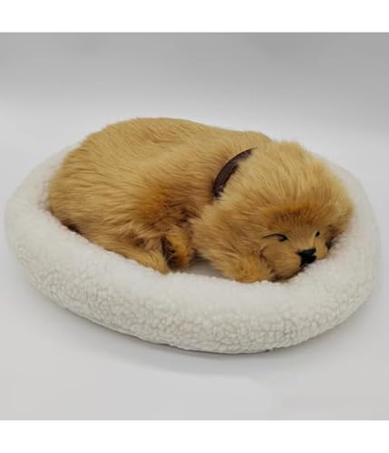 Generisch schlafendes Hundespielzeug, Plüschhundespielzeug, Dekoratives Spielzeug, Plüschstoff, für Zuhause, Büro, Schlafzimmer, Ornament von Generisch