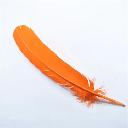 Großpackung mit großen Flügelfedern, 25–30 cm, für Kostümdesign, Maskenherstellung und Engelsflügelfedern Großpackung mit großen Flügelfedern, 25–30 cm, für Kostümdesign, Maskenherstellung und Engelsflügelfedern von Generisch